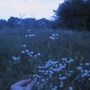 Rain of Old Memories