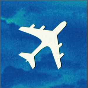 Flight