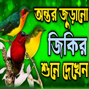 অন্তর জুড়ানো জিকির ll শুনে দেখেন কিরকম মজা লাগে ll নবীর ভালোবাসার জিকির ll আল্লাহর প্রেমের জিকির