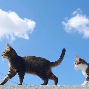 スキップ・スマイル！