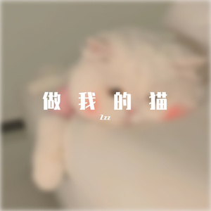 满舒克-做我的猫(Remix)