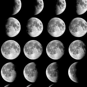 Atypical（Instrumental）