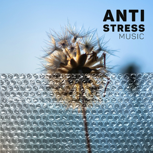 Mindfulness Practice (Harp, Plucks)