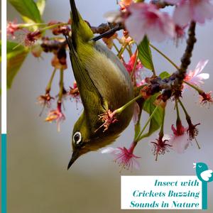 Calming Weather with Cooling Rain