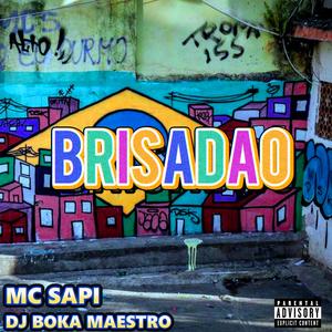 Brisadao