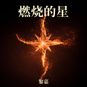 燃烧的星