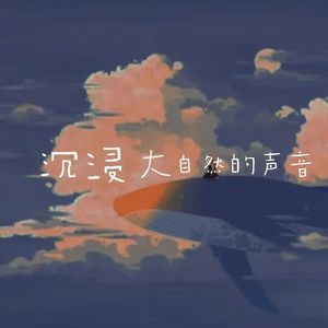 置身在雨林秘境