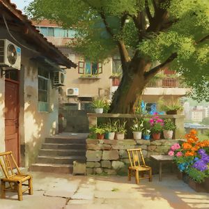 梧桐树下的夏天