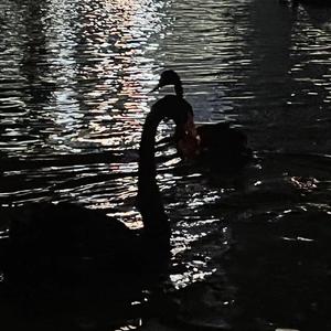 Shining Star（prod.Lakewavebeatz）