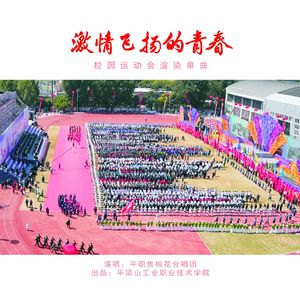 激情飞扬的青春