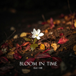 Bloom in Time