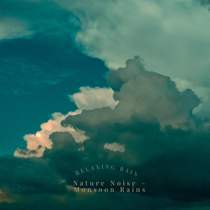 Nature Noise – Monsoon Rains