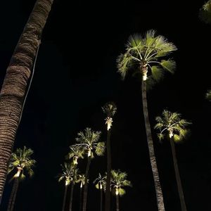 Yaznig Yirimi Katti 伴奏