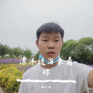 漂洋过海来看你