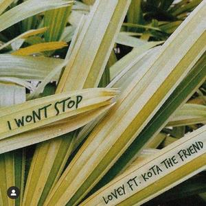 I Wont Stop (feat. Kota the Friend)