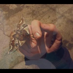 Niñx Interior (feat. F.gloom)