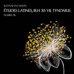 Études latines, IRH 30: VII. Tyndaris