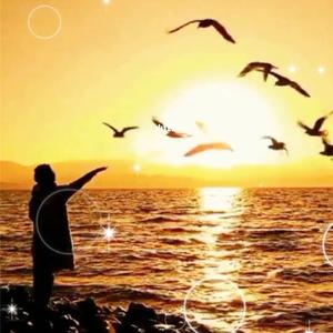 阿海_-_天堂一定很美