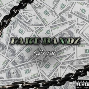 Fake Bandz (feat. $ad)