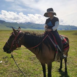 写给儿子的歌我爱你