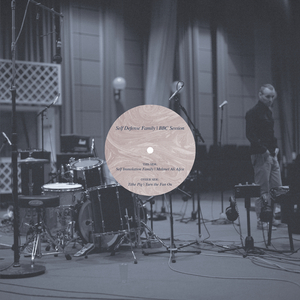 Turn the Fan On (BBC Live Version)