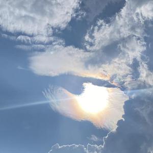 Been Trying (Freestyle)