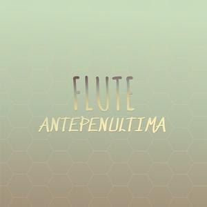 Flute Antepenultima