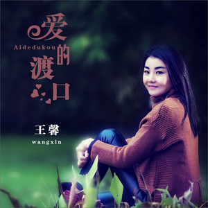 爱的渡口 (DJ默涵版)