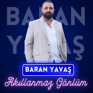 Akıllanmaz Gönlüm