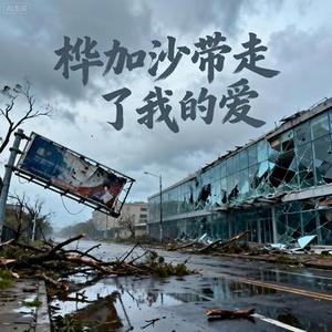 桦加沙带走了我的爱