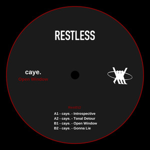 Introspective (Original Mix)