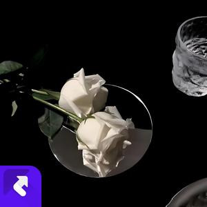 道不同不相为谋 (现场)