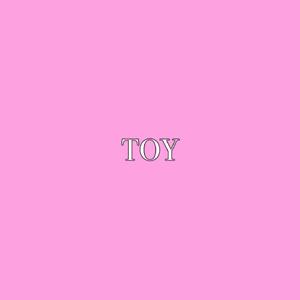 Toy