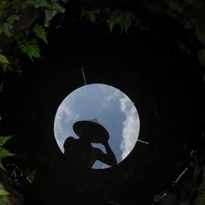 梨花又开放