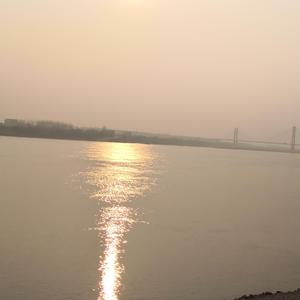 Linkin Park-Nobody Can Save Me (Remix)（Mike Zhou remix）