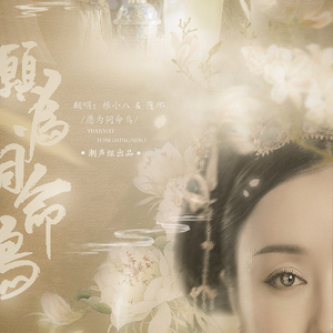 愿为同命鸟——乾隆&富察皇后