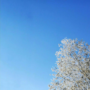 残雪（Cover 蒋蒋）