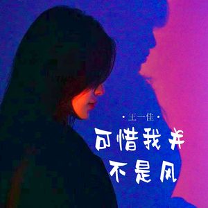 可惜我并不是风(架子鼓)