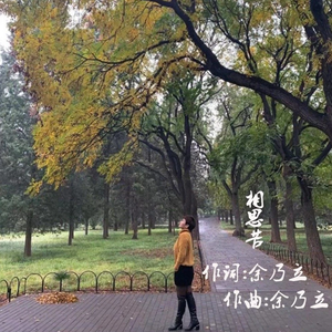 相思苦 (DJ广场舞版)