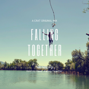 一同坠落(Ft.宋阿鸽)