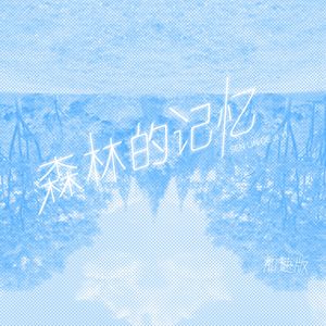 森林的记忆（加速版）