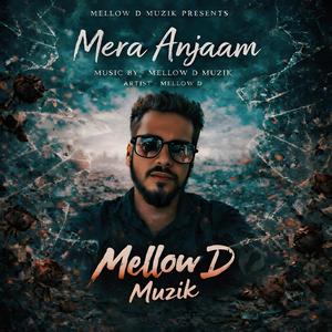Mera Anjaam