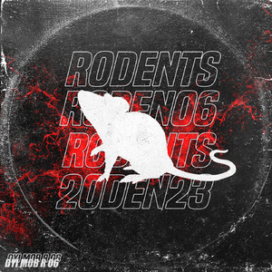 R 6-1 (Original Mix)