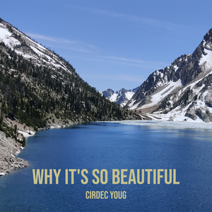 Why It's so Beautiful