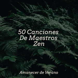 Flujo de Ensueño Helado