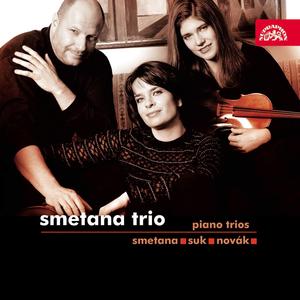 Trio for Piano, Violin and Cello in G minor, Op. 15: II. Allegro ma non agitato