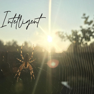 Intelligent