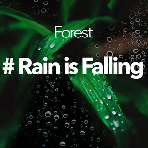 Jungle Pitter Patter