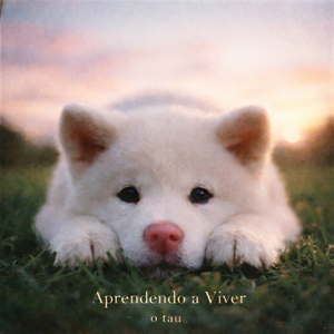 Acredito