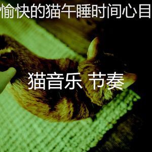 柔和的小猫时刻